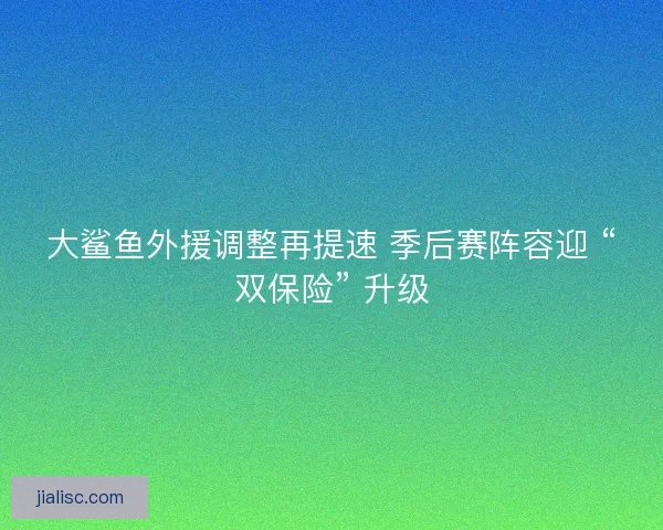大鲨鱼外援调整再提速 季后赛阵容迎 “双保险” 升级